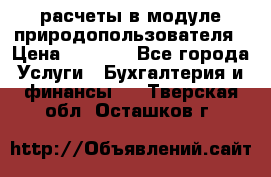 расчеты в модуле природопользователя › Цена ­ 3 000 - Все города Услуги » Бухгалтерия и финансы   . Тверская обл.,Осташков г.